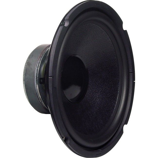 REPLACEMENT SPEAKERS