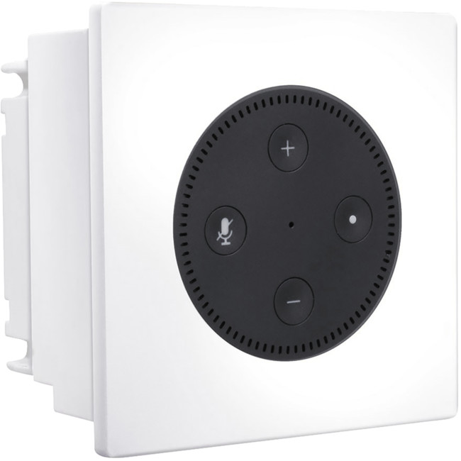 echo dot aux in